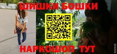 спайс Кингисепп