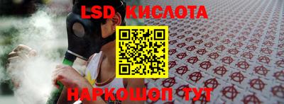 спайс Кингисепп