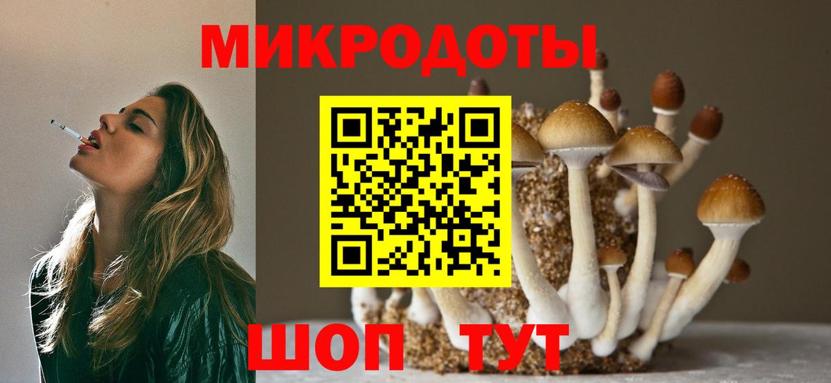 Псилоцибиновые грибы Cubensis  Вход с VPN  Петровск 