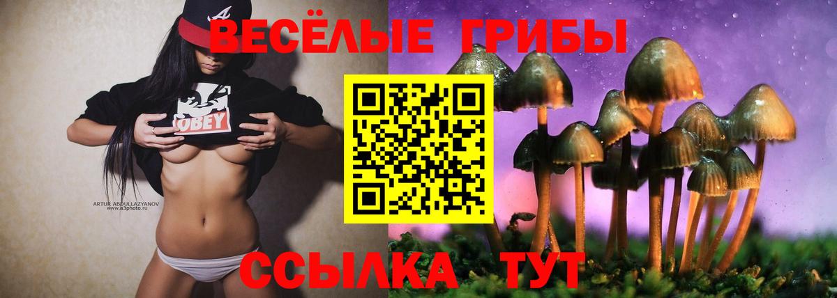 Галлюциногенные грибы ЛСД Петровск